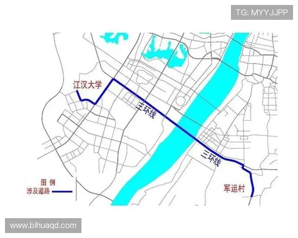 武汉排球队的个人能力分析与发展潜力探讨