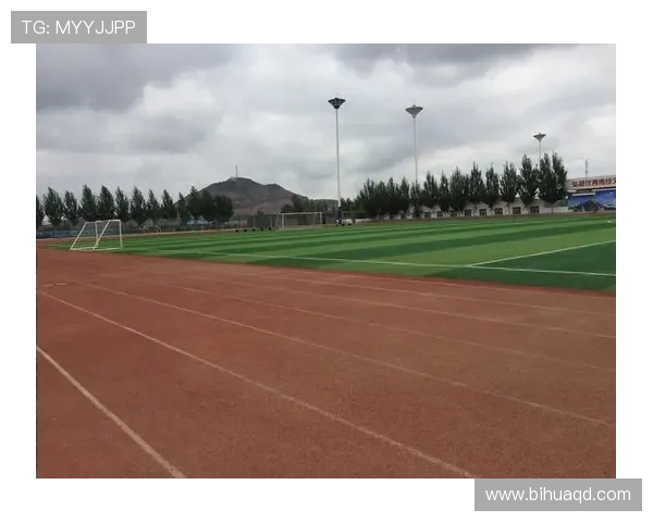 成都羽毛球队在钻石联赛中的崛起与成长历程全景回顾